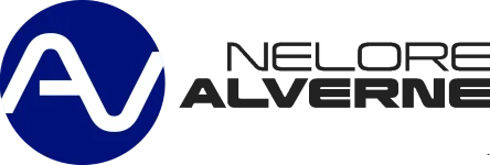 LOGOTIPOS ISOLADOS - NELORE ALVERNE-6 branco9